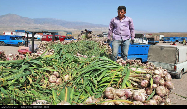 پایگاه خبری صدای زنجان