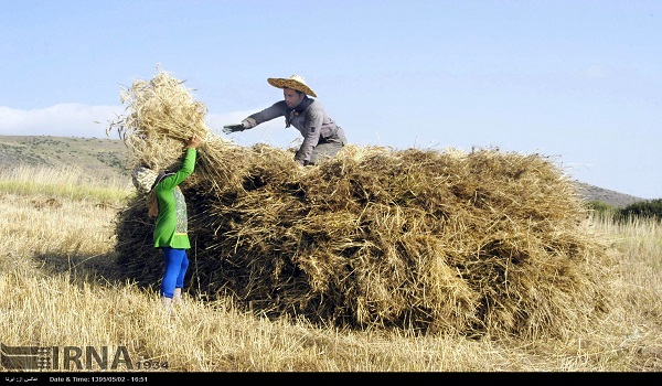 خبرگزاری صدای زنجان