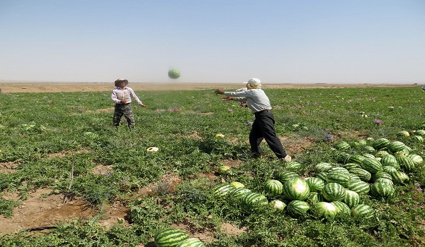 پایگاه خبری تحلیلی صدای زنجان