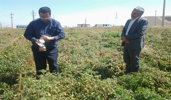 پایگاه خبری تحلیلی صدای زنجان