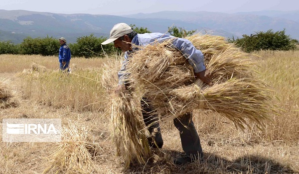 پایگاه خبری تحلیلی صدای زنجان