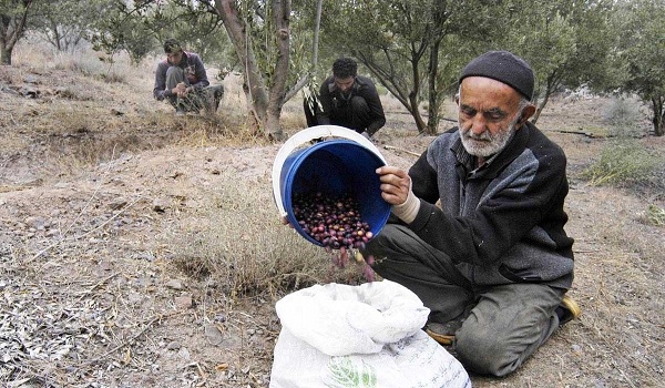 پایگاه خبری تحلیلی صدای زنجان