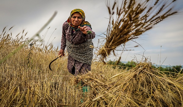 پایگاه خبری تحلیلی صدای زنجان