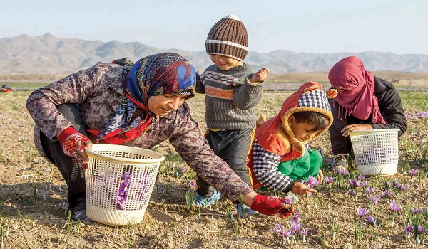 پایگاه خبری صدای زنجان