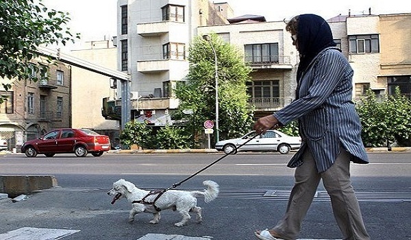 پایگاه خبری صدای زنجان