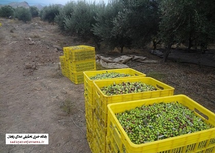 پایگاه خبری تحلیلی صدای زنجان