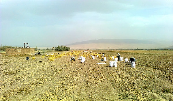 پایگاه خبری تحلیلی صدای زنجان