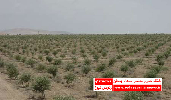 خبرگزاری صدای زنجان