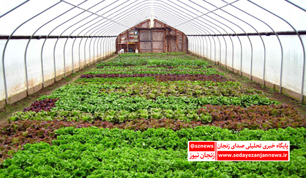 خبرگزاری صدای زنجان