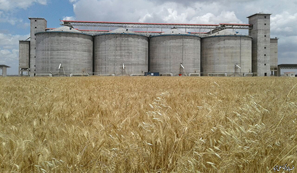 پایگاه خبری تحلیلی صدای زنجان