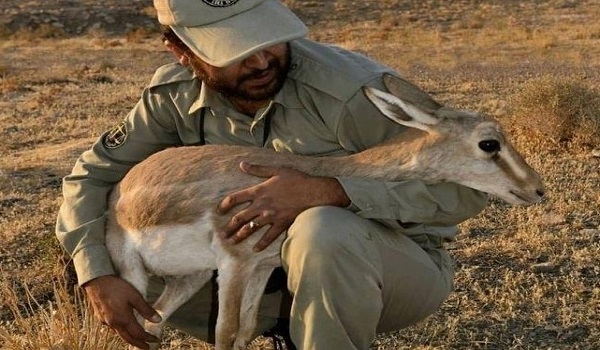 پایگاه خبری تحلیلی صدای زنجان