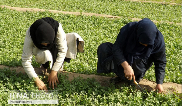 پایگاه خبری تحلیلی صدای زنجان