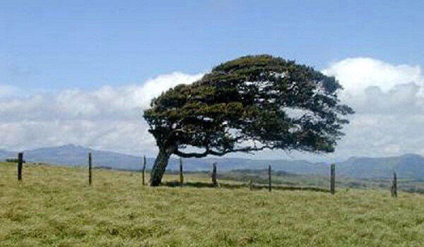 پایگاه خبری تحلیلی صدای زنجان