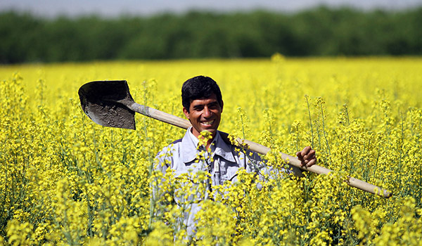 پایگاه خبری تحلیلی صدای زنجان