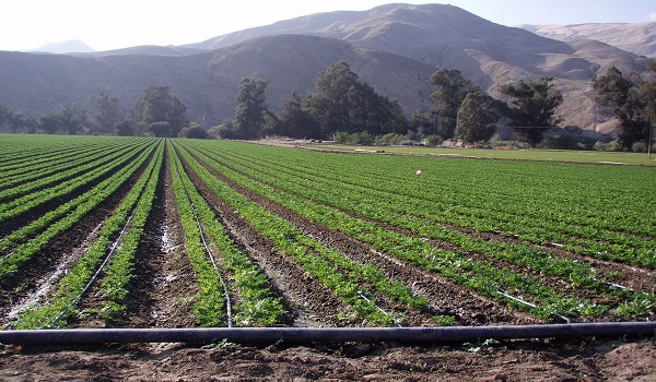 خبرگزاری صدای زنجان