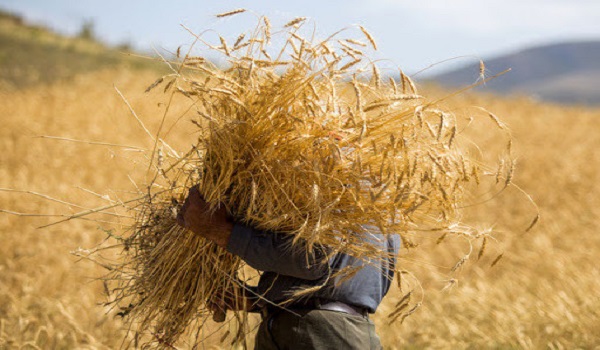 پایگاه خبری تحلیلی صدای زنجان