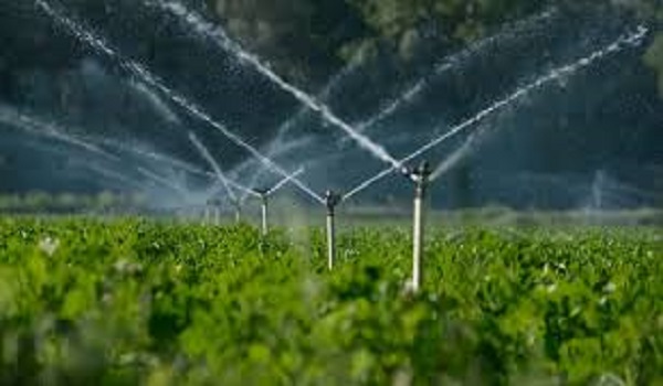 پایگاه خبری تحلیلی صدای زنجان