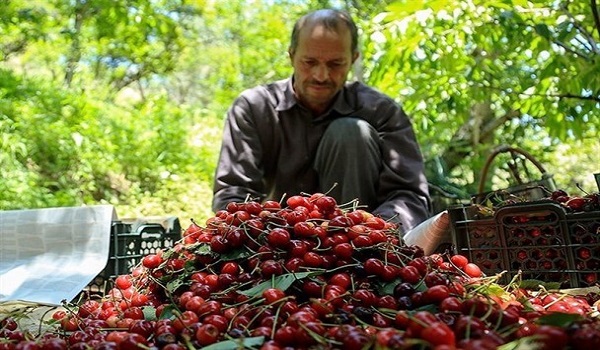 پایگاه خبری تحلیلی صدای زنجان