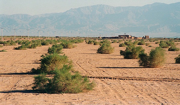 خبرگزاری صدای زنجان