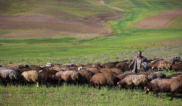 پایگاه خبری صدای زنجان