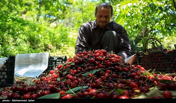 خبرگزاری صدای زنجان