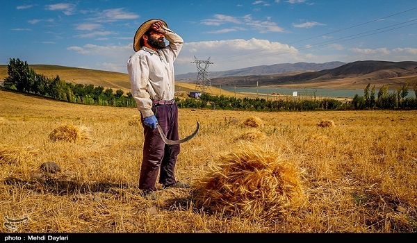 خبرگزاری صدای زنجان