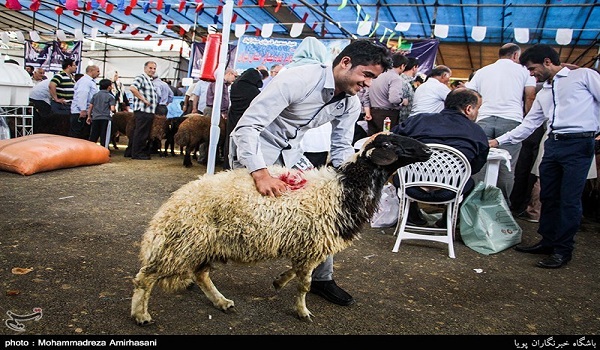 پایگاه خبری تحلیلی صدای زنجان