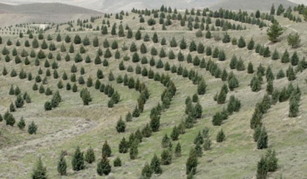 خبرگزاری صدای زنجان