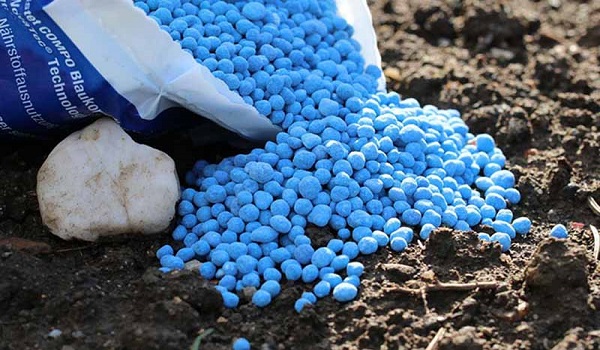 خبرگزاری صدای زنجان