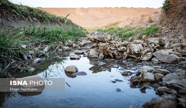 پایگاه خبری صدای زنجان