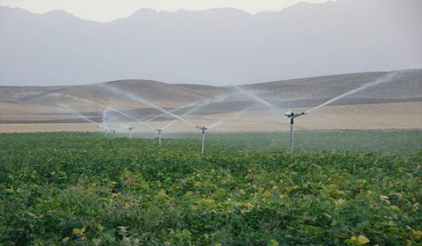 پایگاه خبری تحلیلی صدای زنجان