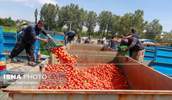 پایگاه خبری تحلیلی صدای زنجان