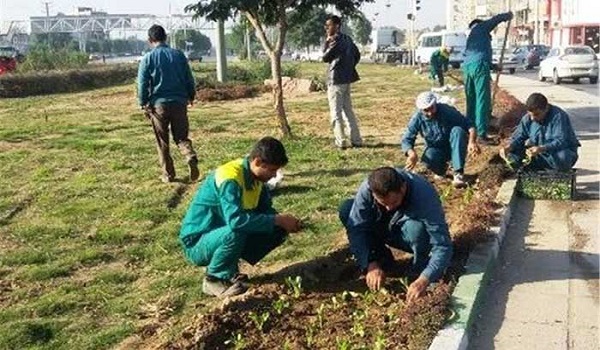 پایگاه خبری تحلیلی صدای زنجان