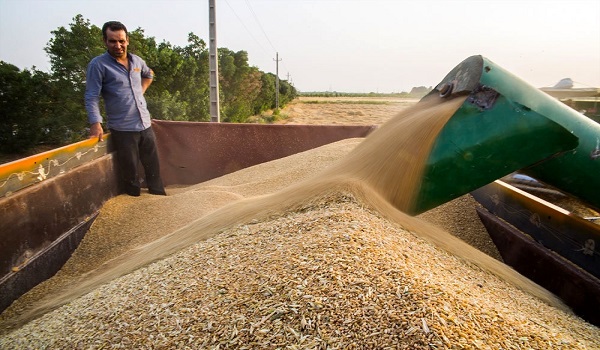 خبرگزاری صدای زنجان