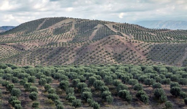 پایگاه خبری صدای زنجان