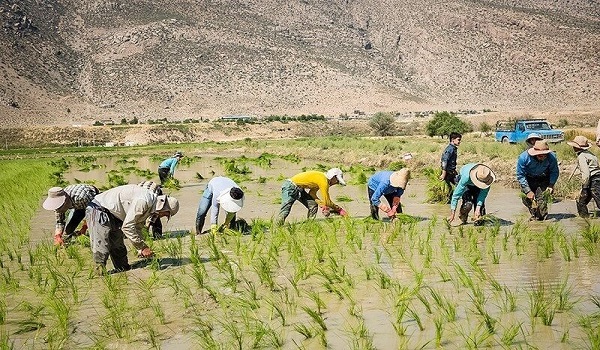 خبرگزاری صدای زنجان