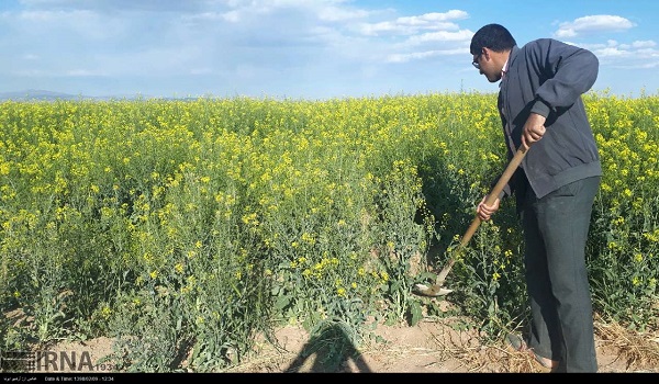 پایگاه خبری صدای زنجان