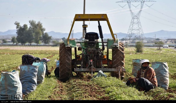 خبرگزاری صدای زنجان