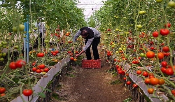 پایگاه خبری تحلیلی صدای زنجان