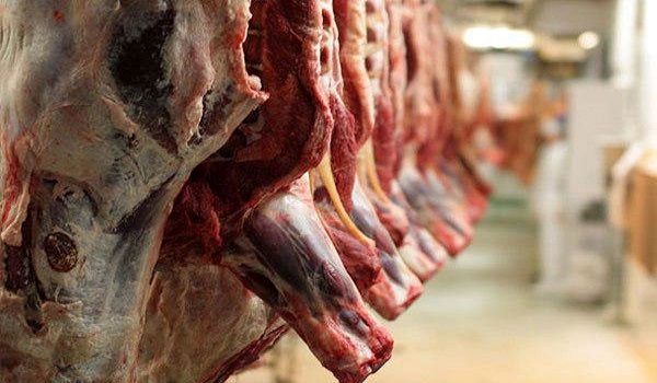پایگاه خبری تحلیلی صدای زنجان