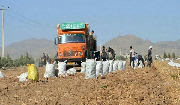 پایگاه خبری صدای زنجان