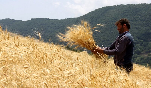 پایگاه خبری تحلیلی صدای زنجان