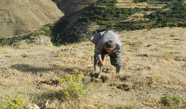 پایگاه خبری صدای زنجان