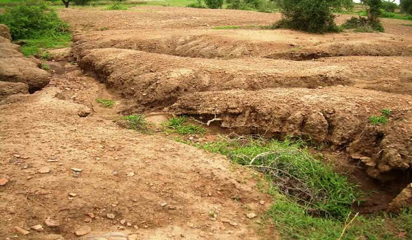 پایگاه خبری صدای زنجان