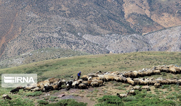 پایگاه خبری تحلیلی صدای زنجان