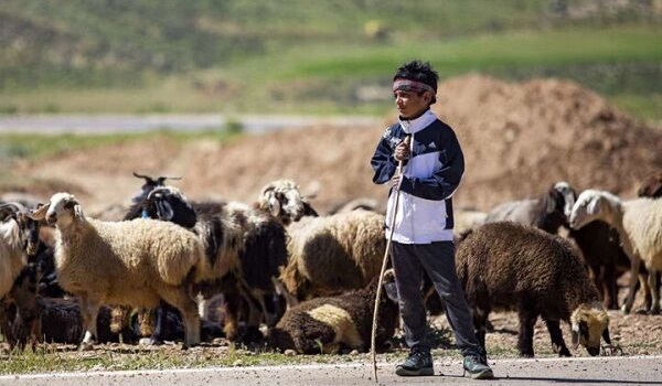 پایگاه خبری تحلیلی صدای زنجان