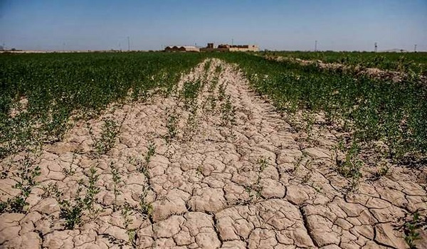 پایگاه خبری تحلیلی صدای زنجان