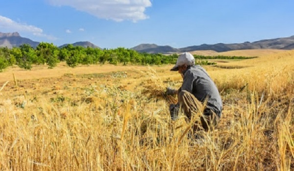 پایگاه خبری تحلیلی صدای زنجان