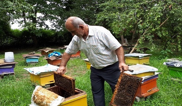 پایگاه خبری تحلیلی صدای زنجان