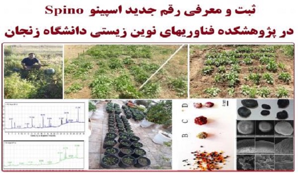 پایگاه خبری صدای زنجان